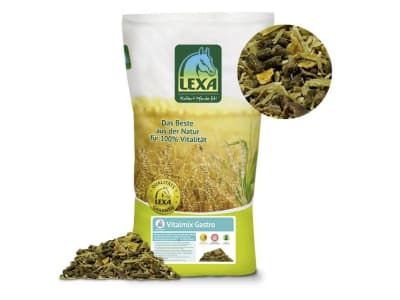 Lexa Vitalmix Gastro strukturreiches Müsli für magenempfindliche Pferde 20 kg Sack