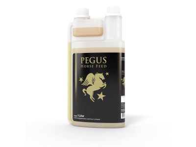 Pegus Leinöl Kleinpackung für Pferde, kaltgepresst Öl 1 l Flasche Pegus Leinöl Kleinpackung für Pferde, kaltgepresst Öl 1 l Flasche