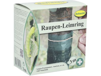 Schacht Raupen-Leimring 3 m  Schachtel 