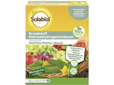 Solabiol Grundstoff Natriumhydrogencarbonat 350 g   