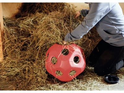 Bonimal TEC Futterspielball "Heu & Joy" rot, 19 Fressöffnungen á 60 mm für Rinder, Kälber, Fohlen, Ponys und Pferde im Stall, Paddock und auf der Weide, 3210386-BW Bonimal TEC Futterspielball "Heu & Joy" rot, 19 Fressöffnungen á 60 mm für Rinder, Kälber, Fohlen, Ponys und Pferde im Stall, Paddock und auf der Weide, 3210386-BW