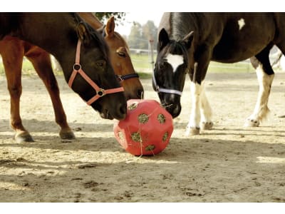 Bonimal TEC Futterspielball "Heu & Joy" rot, 19 Fressöffnungen á 60 mm für Rinder, Kälber, Fohlen, Ponys und Pferde im Stall, Paddock und auf der Weide, 3210386-BW Bonimal TEC Futterspielball "Heu & Joy" rot, 19 Fressöffnungen á 60 mm für Rinder, Kälber, Fohlen, Ponys und Pferde im Stall, Paddock und auf der Weide, 3210386-BW