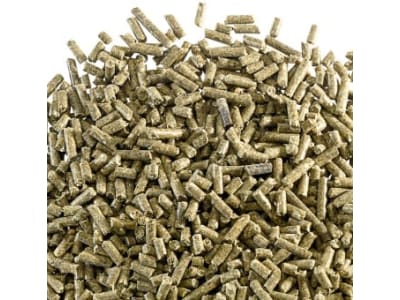 DERBY® Gastro forte für magenempfindliche Pferde 5 kg Eimer DERBY® Gastro forte für magenempfindliche Pferde 5 kg Eimer