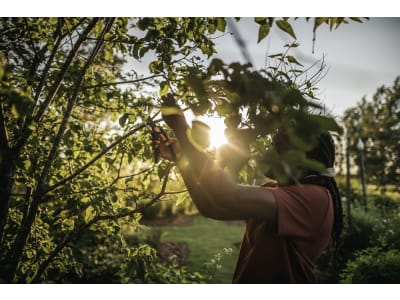 Fiskars Plus™ SmartFit Bypass-Gartenschere P541 Fiskars Plus™ SmartFit Bypass-Gartenschere P541