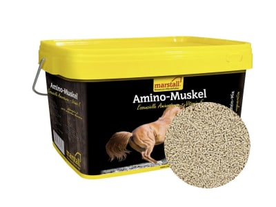 marstall® Amino-Muskel mit Nährstoffen für die Muskulatur von Pferden 10 kg Eimer marstall® Amino-Muskel mit Nährstoffen für die Muskulatur von Pferden 10 kg Eimer