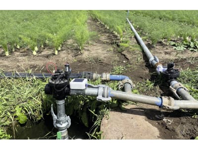 SPHERAG Bewässerungssteuerung "Atlas 2" für die Steuerung und Überwachung von 2 Wasserzählern und 2 Magnetventilen, zzgl. Servicevertrag, TH-AT2-0003-N SPHERAG Bewässerungssteuerung "Atlas 2" für die Steuerung und Überwachung von 2 Wasserzählern und 2 Magnetventilen, zzgl. Servicevertrag, TH-AT2-0003-N