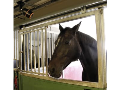 LUDA.FARM IP-Kamera "FarmCam Mobility S" für die Überwachung von Innen- und Außenbereichen LUDA.FARM IP-Kamera "FarmCam Mobility S" für die Überwachung von Innen- und Außenbereichen