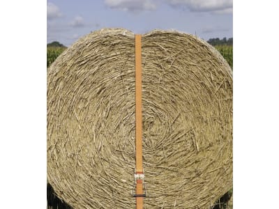 KERBL Zurrgurt 15 m x 50 mm, 2-teilig, Spitzhaken, Ratsche, orange, 37160