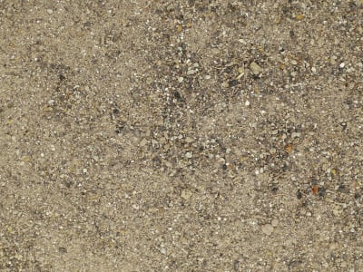 Oscorna® Bodenaktivator die natürliche Bodenverbesserung mit NPK 3+2+0.5 Oscorna® Bodenaktivator die natürliche Bodenverbesserung mit NPK 3+2+0.5