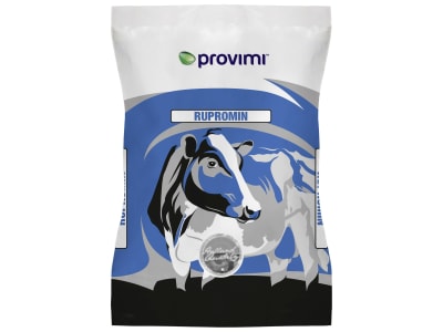 Rupromin Balance langanhaltender Pansenpuffer für Milchvieh, Schafe und Ziegen 25 kg Sack 