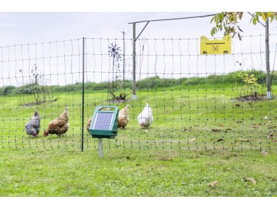 Ako Geflügelzaunset "PoultryNet" 12 V Solar für Geflügel, Hunde, Katzen, Kaninchen, 441154