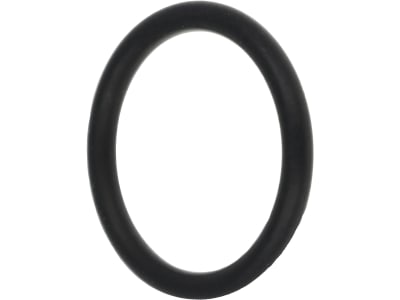 Agrotop O-Ring für Schlauchanschlüsse mit O-Ring G 2 1/2" IG (BSP) Stärke 3,5 mm, 14862