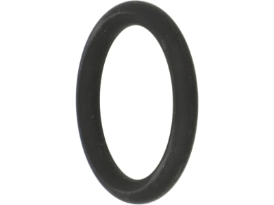 Rau O-Ring 25 x 4 mm, FPM 75 (Viton®), für Stecktülle "AS30", RG00002633 Rau O-Ring 25 x 4 mm, FPM 75 (Viton®), für Stecktülle "AS30", RG00002633
