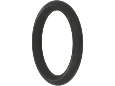 Rau O-Ring 25 x 4 mm, FPM 75 (Viton®), für Stecktülle "AS30", RG00002633