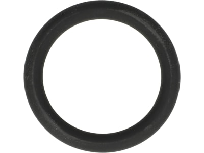 Rau O-Ring 25 x 4 mm, FPM 75 (Viton®), für Stecktülle "AS30", RG00002633