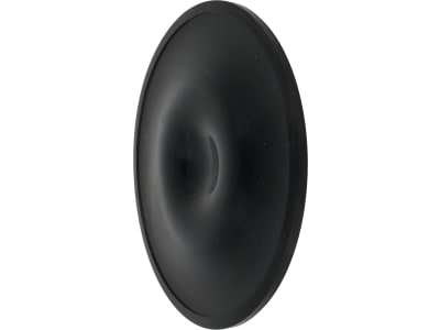Rau Membrane MB 121-2 für Pumpe "P 102", "P 202" für Feldspritze, RG00007248 Rau Membrane MB 121-2 für Pumpe "P 102", "P 202" für Feldspritze, RG00007248