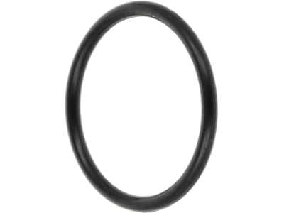 Rau O-Ring 22 x 2 mm, NBR (Perbunan® Nitrilkautschuk), für Druckregeler Telemat Feldspritze, RG00013997