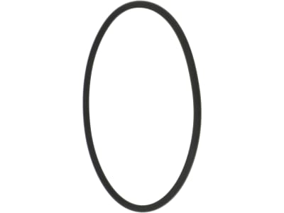 Rau O-Ring 94,85 x 3,53 mm, Viton®, für Becher Filterhahn Feldspritze, RG00018769