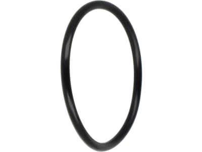 Rau O-Ring 52 x 3,5 mm, NBR (Perbunan® Nitrilkautschuk) für Filtertopf QV-Regler Feldspritze, RG00031009