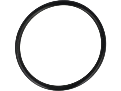 Rau O-Ring 52 x 3,5 mm, NBR (Perbunan® Nitrilkautschuk) für Filtertopf QV-Regler Feldspritze, RG00031009