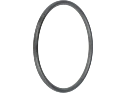 Rau O-Ring 70 x 4 mm, FPM 75 (Viton®), für Becher Filterhahn Feldspritze, RG00032605