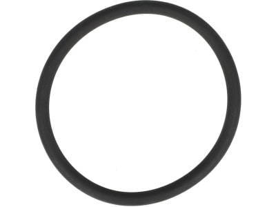 Rau O-Ring 38 x 3 mm, FKM 80 (Viton®), für Einspülvorrichtung, Verteilerarmatur Feldspritze, RG00037628