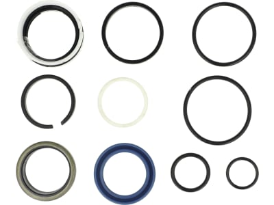 Rau Dichtungssatz für Hydraulikzylinder Serta Feldsspritze, RG00055426 Rau Dichtungssatz für Hydraulikzylinder Serta Feldsspritze, RG00055426