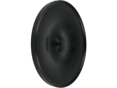 Rau Membrane MB 121-5 für Pumpe "P 2020 W" Feldspritze, RG00022800 Rau Membrane MB 121-5 für Pumpe "P 2020 W" Feldspritze, RG00022800