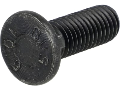 Rau Scharschraube M 10 x 30 mm - 10.9, 2 Nasen, DIN 11014, für Flügelscharmesser, mit Sechskantmutter, RF04334 Rau Scharschraube M 10 x 30 mm - 10.9, 2 Nasen, DIN 11014, für Flügelscharmesser, mit Sechskantmutter, RF04334