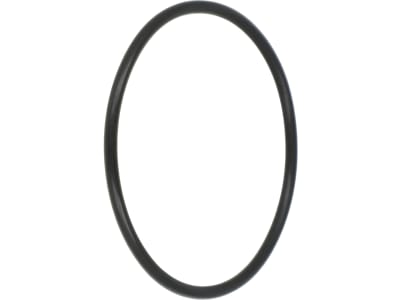 Rau O-Ring 55,25 x 2,62 mm, FPM 75 (Viton®), für Filterträger Druckfiltereinheit Feldspritze, RG00047512