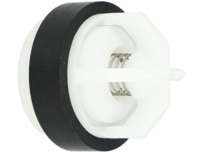 Rau Ventil "H" für Kolbenmembranpumpe P52W, P72W, P152W, RG00002629 Rau Ventil "H" für Kolbenmembranpumpe P52W, P72W, P152W, RG00002629