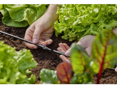 Gardena Micro-Drip-System Verbinder 4,6 mm   4,6 mm (3/16'') Bewässerung 13213-20
