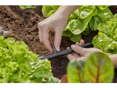 Gardena Micro-Drip-System Verbinder 4,6 mm   4,6 mm (3/16'') Bewässerung 13213-20