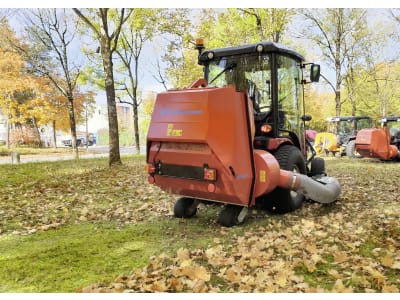 Wiedenmann® Laubsauger "Favorit 650"