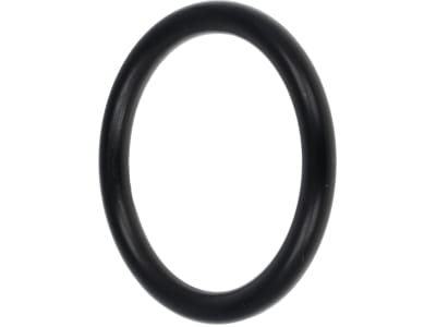 Agrotop O-Ring 31,5 x 4,25 mm, Ventildichtring, für Kolbenmembranpumpen AR 125 bp, AR 145 bp, AR 160 bp, AR 185 bp, AR 215 bp, AR 250 bp, AR 280 bp, Inuma, 12456