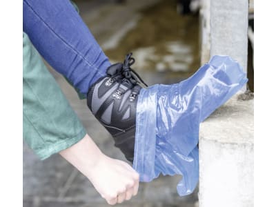 KERBL Einmalüberschuh 0,07 mm mit Gummizug 100 St. KERBL Einmalüberschuh 0,07 mm mit Gummizug 100 St.