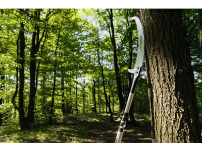 Berger Teleskopstange "ArboRapid" 1,75 – 5,90 m, 4 Segmente, Aluminiumrohre, für Höhen bis 8 m, 75900