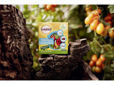 Solabiol Neem Bio-Schädlingsfrei 30 ml  biologische Schädlingsbekämpfung an Zierpflanzen, Kräutern, Kartoffeln und Gemüse 