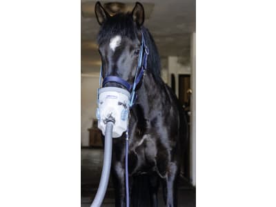 hippomed Ultraschall-Inhalator "AirOne" für Pferde, 230 V-Betrieb, mit Warmblut-Inhalationsmaske, 3211802 hippomed Ultraschall-Inhalator "AirOne" für Pferde, 230 V-Betrieb, mit Warmblut-Inhalationsmaske, 3211802