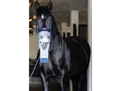 hippomed Ultraschall-Inhalator "AirOne Flex" für Pferde, mit Warmblutinhalationsmaske, 3211805 hippomed Ultraschall-Inhalator "AirOne Flex" für Pferde, mit Warmblutinhalationsmaske, 3211805