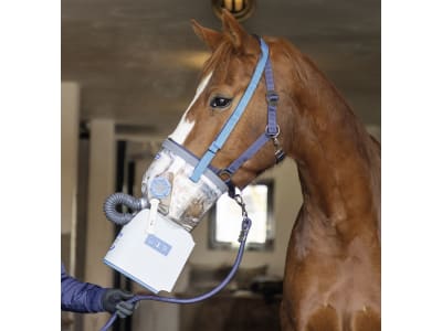 hippomed Ultraschall-Inhalator "AirOne Flex" für Pferde, mit Warmblutinhalationsmaske, 3211805 hippomed Ultraschall-Inhalator "AirOne Flex" für Pferde, mit Warmblutinhalationsmaske, 3211805