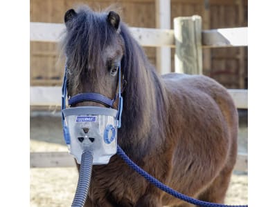 hippomed Inhalationsmaske Shetland-Pony (Shetty) für Ultraschall-Inhalator AirOne