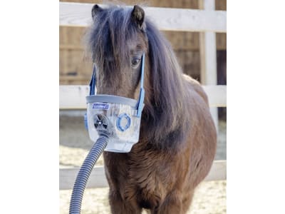 hippomed Inhalationsmaske Shetland-Pony (Shetty) für Ultraschall-Inhalator AirOne