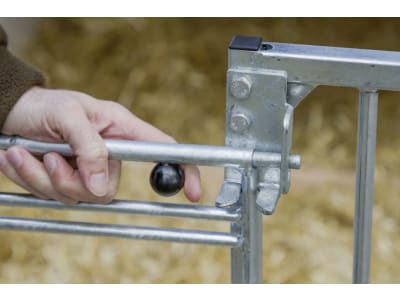 KERBL Kälberiglu "CalfHouse Master Plus" für 1 Kalb, mit Umzäunung, 14470 KERBL Kälberiglu "CalfHouse Master Plus" für 1 Kalb, mit Umzäunung, 14470
