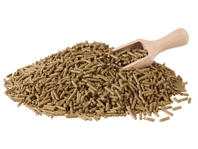 Berkel Angora-Kanin Kaninchenfutter für Angorakaninchen Pellet 25 kg Sack