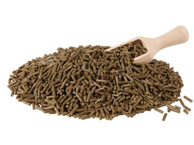 Berkel Blue Kaninchenfutter mit Kokzidiostatikum und Präbiotikum für Jungtiere sensibler Rassen Pellet 25 kg Sack Berkel Blue Kaninchenfutter mit Kokzidiostatikum und Präbiotikum für Jungtiere sensibler Rassen Pellet 25 kg Sack