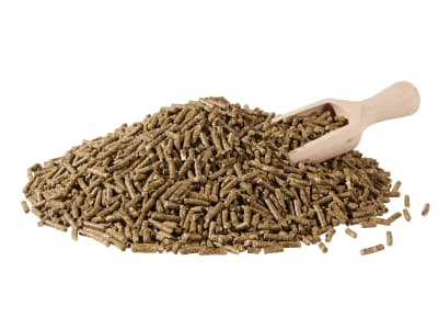 Berkel Kanin-Spezial energiereiches Kaninchenfutter mit Kräutern für große Kaninchenrassen Pellet 25 kg Sack