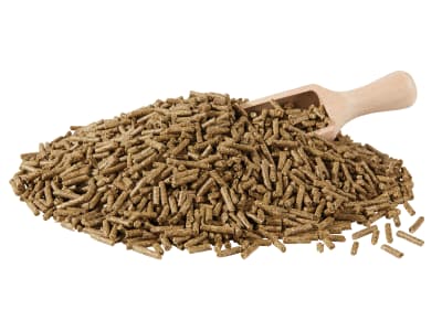 Berkel Schau-Kanin energiereduziertes Kaninchenfutter mit Kräutern vor und während der Schausaison Pellet 25 kg Sack Berkel Schau-Kanin energiereduziertes Kaninchenfutter mit Kräutern vor und während der Schausaison Pellet 25 kg Sack