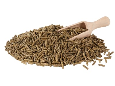 Berkel TTL Kaninchenfutter mit Kokzidiostatikum und Lignocellulose für Jungtiere kleiner Kaninchenrassen Pellet 25 kg Sack Berkel TTL Kaninchenfutter mit Kokzidiostatikum und Lignocellulose für Jungtiere kleiner Kaninchenrassen Pellet 25 kg Sack