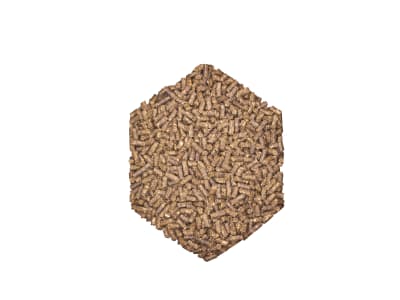 St. Hippolyt WES Basic Crunch proteinreiches, voll mineralisiertes Pelletfutter 25 kg Sack